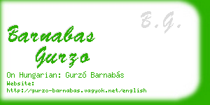 barnabas gurzo business card