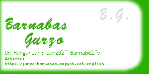 barnabas gurzo business card